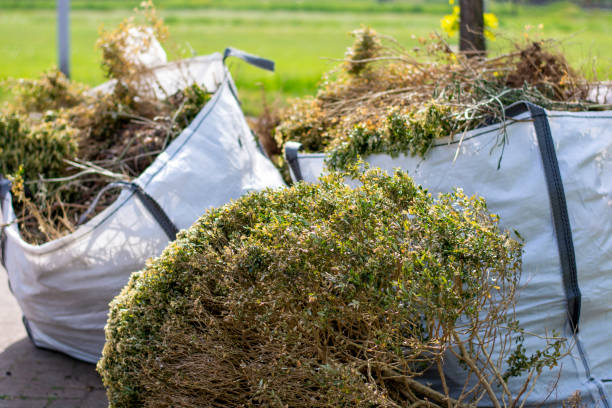 Best Residential Junk Removal  in Chicago Heights, IL